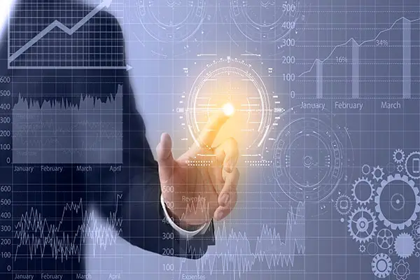 江南大学谢安妮简介